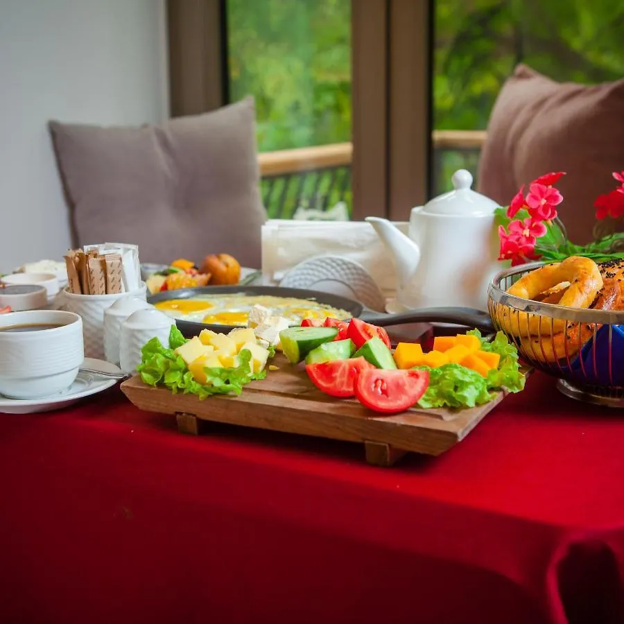 Theatrum Hotel באקו